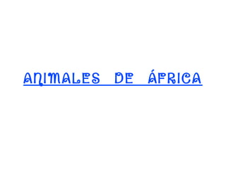 ANIMALES DE ÁFRICA

 