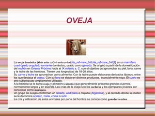 OVEJA La  oveja doméstica  ( Ovis aries  u  Ovis aries aries ) cite_ref-msw_0-0cite_ref-msw_0-0[1]  es un  mamífero   cuadrúpedo   ungulado   rumiante  doméstico, usado como  ganado . Se originó a partir de la domesticación del  muflón  en  Oriente Próximo  hacia el  IX milenio a. C.  con el objetivo de aprovechar su piel, lana, carne y la leche de las hembras. Tienen una longevidad de 18-20 años. Su  carne  y  leche  se aprovechan como alimento. Con la leche puede elaborarse derivados lácteos, entre los que destaca el  queso . Con su  lana  se elaboran distintos productos, especialmente ropa. El  cuero  es otro subproducto ampliamente utilizado. A la hembra se le llama  oveja  y al macho  carnero  (que generalmente presenta grandes cuernos, normalmente largos y en espiral). Las crías de la oveja son los  corderos  y los ejemplares jóvenes son conocidos como  moruecos . Un grupo de ovejas conforman un  rebaño ,  wikt:piara  o majada ( Argentina ), y al cercado donde se meten se le denomina  aprisco ,  brete ,  corral  o  redil . La cría y utilización de estos animales por parte del hombre se conoce como  ganadería ovina . 