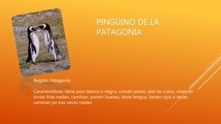 PINGÜINO DE LA
PATAGONIA
Región: Patagonia
Características: tiene pico blanco y negro, comen peces, piel de cuero, viven en
zonas frías nadan, caminan, ponen huevos, tiene lengua, tienen ojos a veces
caminan yo tras veces nadan.