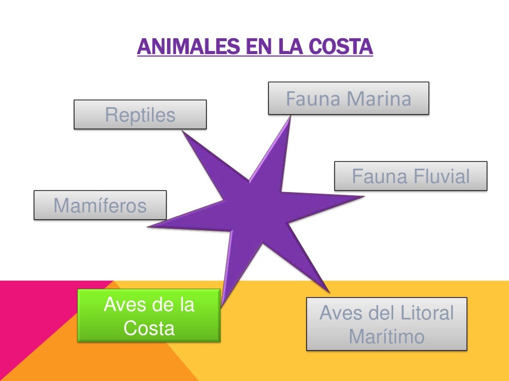 Animales de la Costa