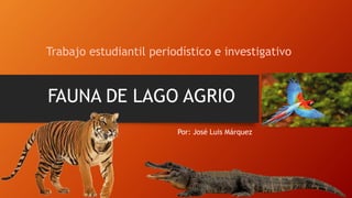 Trabajo estudiantil periodístico e investigativo
Por: José Luis Márquez
 