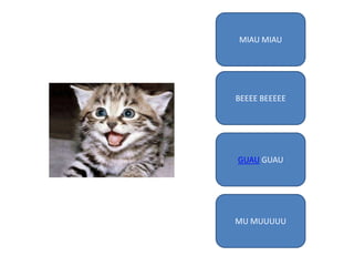 MIAU MIAU

BEEEE BEEEEE

GUAU GUAU

MU MUUUUU

 