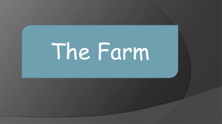 The Farm
 