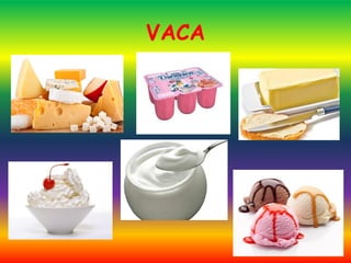 VACA
 