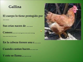 Gallina El cuerpo lo tiene protegido por ……. Sus crías nacen de ……. Comen:……….,………….,…………… En la cabeza tienen una c……. Cuando cantan hacen……… Y esto se llama……….. 