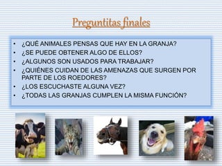 Preguntitas finales
• ¿QUÉ ANIMALES PENSAS QUE HAY EN LA GRANJA?
• ¿SE PUEDE OBTENER ALGO DE ELLOS?
• ¿ALGUNOS SON USADOS PARA TRABAJAR?
• ¿QUIÉNES CUIDAN DE LAS AMENAZAS QUE SURGEN POR
PARTE DE LOS ROEDORES?
• ¿LOS ESCUCHASTE ALGUNA VEZ?
• ¿TODAS LAS GRANJAS CUMPLEN LA MISMA FUNCIÓN?
 