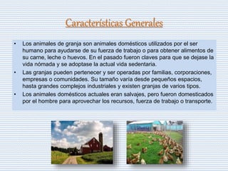 Características Generales
• Los animales de granja son animales domésticos utilizados por el ser
humano para ayudarse de su fuerza de trabajo o para obtener alimentos de
su carne, leche o huevos. En el pasado fueron claves para que se dejase la
vida nómada y se adoptase la actual vida sedentaria.
• Las granjas pueden pertenecer y ser operadas por familias, corporaciones,
empresas o comunidades. Su tamaño varía desde pequeños espacios,
hasta grandes complejos industriales y existen granjas de varios tipos.
• Los animales domésticos actuales eran salvajes, pero fueron domesticados
por el hombre para aprovechar los recursos, fuerza de trabajo o transporte.
 