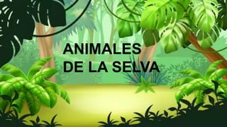 ANIMALES
DE LA SELVA
 