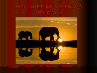 ANIMALES DE LA SELVA
     AFRICANA
 