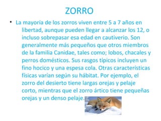 ZORRO 
• La mayoría de los zorros viven entre 5 a 7 años en 
libertad, aunque pueden llegar a alcanzar los 12, o 
incluso sobrepasar esa edad en cautiverio. Son 
generalmente más pequeños que otros miembros 
de la familia Canidae, tales como; lobos, chacales y 
perros domésticos. Sus rasgos típicos incluyen un 
fino hocico y una espesa cola. Otras características 
físicas varían según su hábitat. Por ejemplo, el 
zorro del desierto tiene largas orejas y pelaje 
corto, mientras que el zorro ártico tiene pequeñas 
orejas y un denso pelaje. 
 