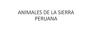 ANIMALES DE LA SIERRA
PERUANA
 