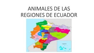ANIMALES DE LAS
REGIONES DE ECUADOR
 