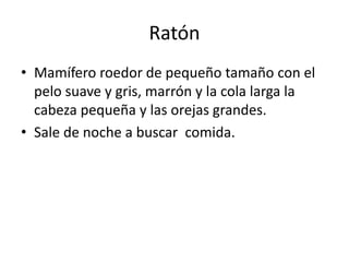 Ratón
• Mamífero roedor de pequeño tamaño con el
pelo suave y gris, marrón y la cola larga la
cabeza pequeña y las orejas grandes.
• Sale de noche a buscar comida.
 