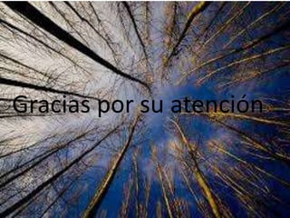 Gracias por su atención
 