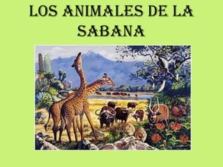 Los animales de la
sabana
 