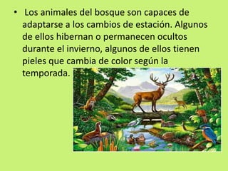 • Los animales del bosque son capaces de
adaptarse a los cambios de estación. Algunos
de ellos hibernan o permanecen ocultos
durante el invierno, algunos de ellos tienen
pieles que cambia de color según la
temporada.
 