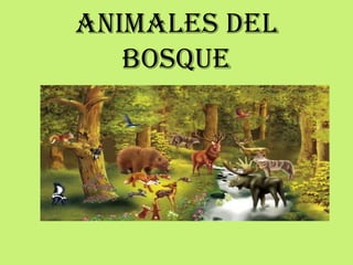 ANIMALES DEL
BOSQUE
 