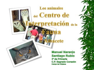 Los animales  del Centro de Interpretación de la  Fauna  deAlbacete Manuel Naranjo Santiago Rubio 3º de Primaria C.P. Sagrado Corazón Campo de Criptana 