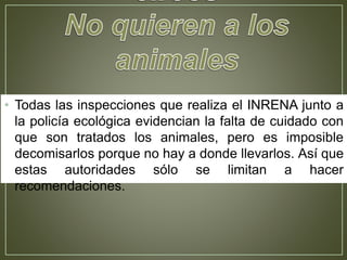 • Todas las inspecciones que realiza el INRENA junto a
la policía ecológica evidencian la falta de cuidado con
que son tratados los animales, pero es imposible
decomisarlos porque no hay a donde llevarlos. Así que
estas autoridades sólo se limitan a hacer
recomendaciones.
 