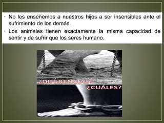 • No les enseñemos a nuestros hijos a ser insensibles ante el
sufrimiento de los demás.
• Los animales tienen exactamente la misma capacidad de
sentir y de sufrir que los seres humano.
 