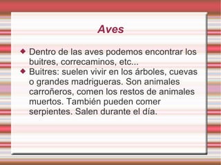 Aves
 Dentro de las aves podemos encontrar los
buitres, correcaminos, etc...
 Buitres: suelen vivir en los árboles, cuevas
o grandes madrigueras. Son animales
carroñeros, comen los restos de animales
muertos. También pueden comer
serpientes. Salen durante el día.
 