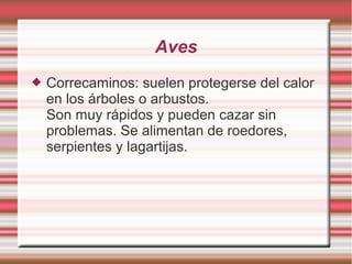 Aves
 Correcaminos: suelen protegerse del calor
en los árboles o arbustos.
Son muy rápidos y pueden cazar sin
problemas. Se alimentan de roedores,
serpientes y lagartijas.
 