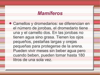 Mamíferos
 Camellos y dromedarios: se diferencian en
el número de jorobas, el dromedario tiene
una y el camello dos. En las jorobas no
tienen agua sino grasa. Tienen los ojos
pequeños, pestañas largas y orejas
pequeñas para protegerse de la arena.
Pueden vivir meses sin beber agua pero
cuando beben, pueden tomar hasta 180
litros de una sola vez.
 