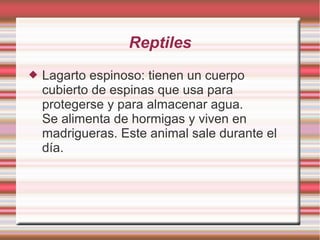 Reptiles
 Lagarto espinoso: tienen un cuerpo
cubierto de espinas que usa para
protegerse y para almacenar agua.
Se alimenta de hormigas y viven en
madrigueras. Este animal sale durante el
día.
 