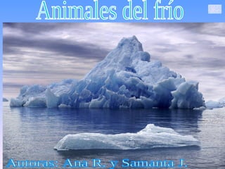 Animales del frío Autoras: Ana R. y Samanta J. 