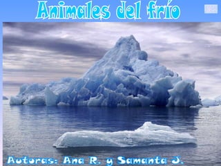 Animales del frío Autoras: Ana R. y Samanta J. 
