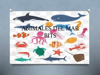 ANIMALES DEL MAR
BITS
 