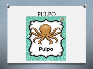 PULPO
 