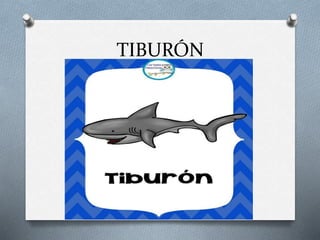 TIBURÓN
 
