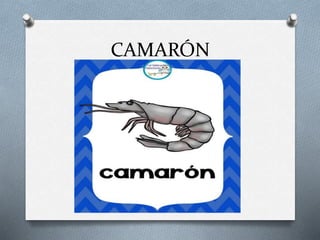 CAMARÓN
 