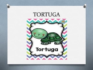 TORTUGA
 