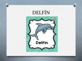 DELFÍN
 