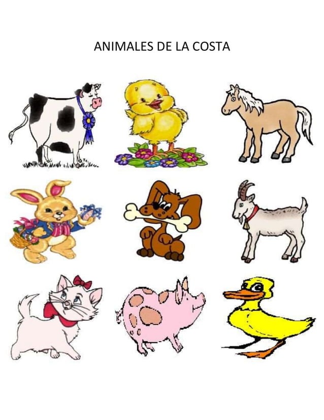 Animales del mar peruano