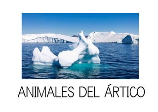 LISTADO DE ANIMALES QUE VIVEN DEL POLO NORTE.pdf