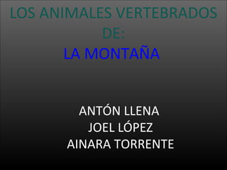 LOS ANIMALES VERTEBRADOS
DE:
LA MONTAÑA
ANTÓN LLENA
JOEL LÓPEZ
AINARA TORRENTE

 