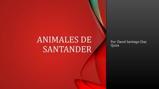 ANIMALES DE
SANTANDER
Por: David Santiago Diaz
Quiza
 