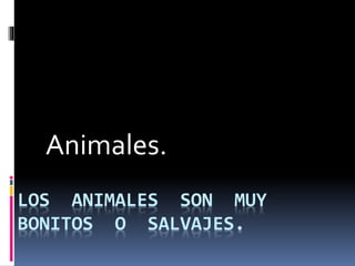 LOS ANIMALES SON MUY
BONITOS O SALVAJES.
Animales.
 