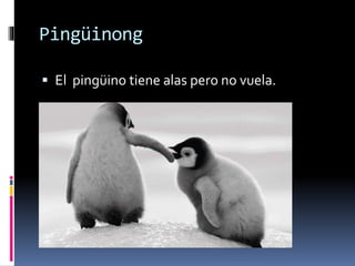 Pingüinong
 El pingüino tiene alas pero no vuela.
 