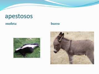apestosos
mofeta burro
 