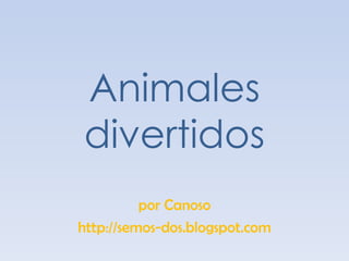 Animales divertidos por Canoso http://semos-dos.blogspot.com 