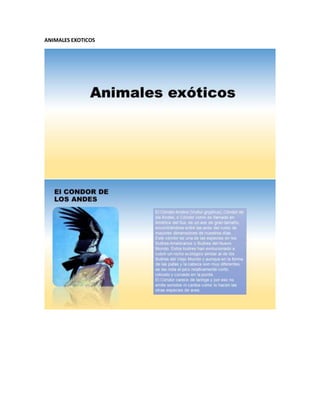 ANIMALES EXOTICOS
 
