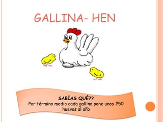 GALLINA- HEN




             SABÍAS QUÉ??
Por término medio cada gallina pone unos 250
               huevos al año
 