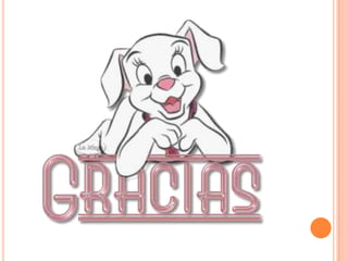 Animales domesicos y salvajes