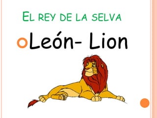 EL REY DE LA SELVA

León-      Lion
 
