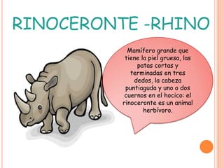 RINOCERONTE -RHINO
            Mamífero grande que
           tiene la piel gruesa, las
               patas cortas y
             terminadas en tres
              dedos, la cabeza
           puntiaguda y uno o dos
           cuernos en el hocico: el
          rinoceronte es un animal
                  herbívoro.
 