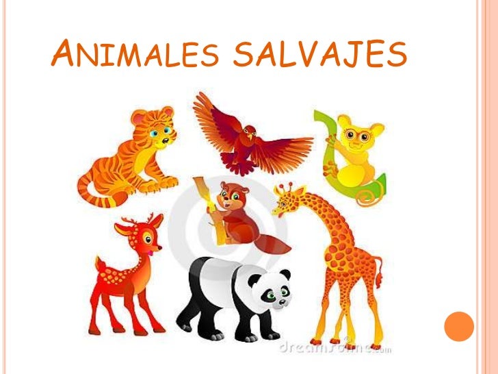 Animales domesicos y salvajes
